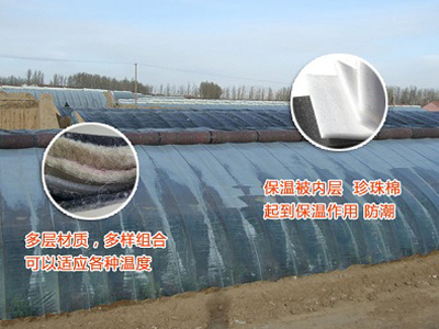 ������ﱣ�ر�